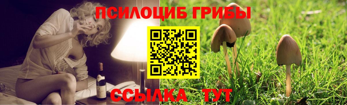 Амурск  купить   Вход с VPN  Галлюциногенные грибы Magic Shrooms 